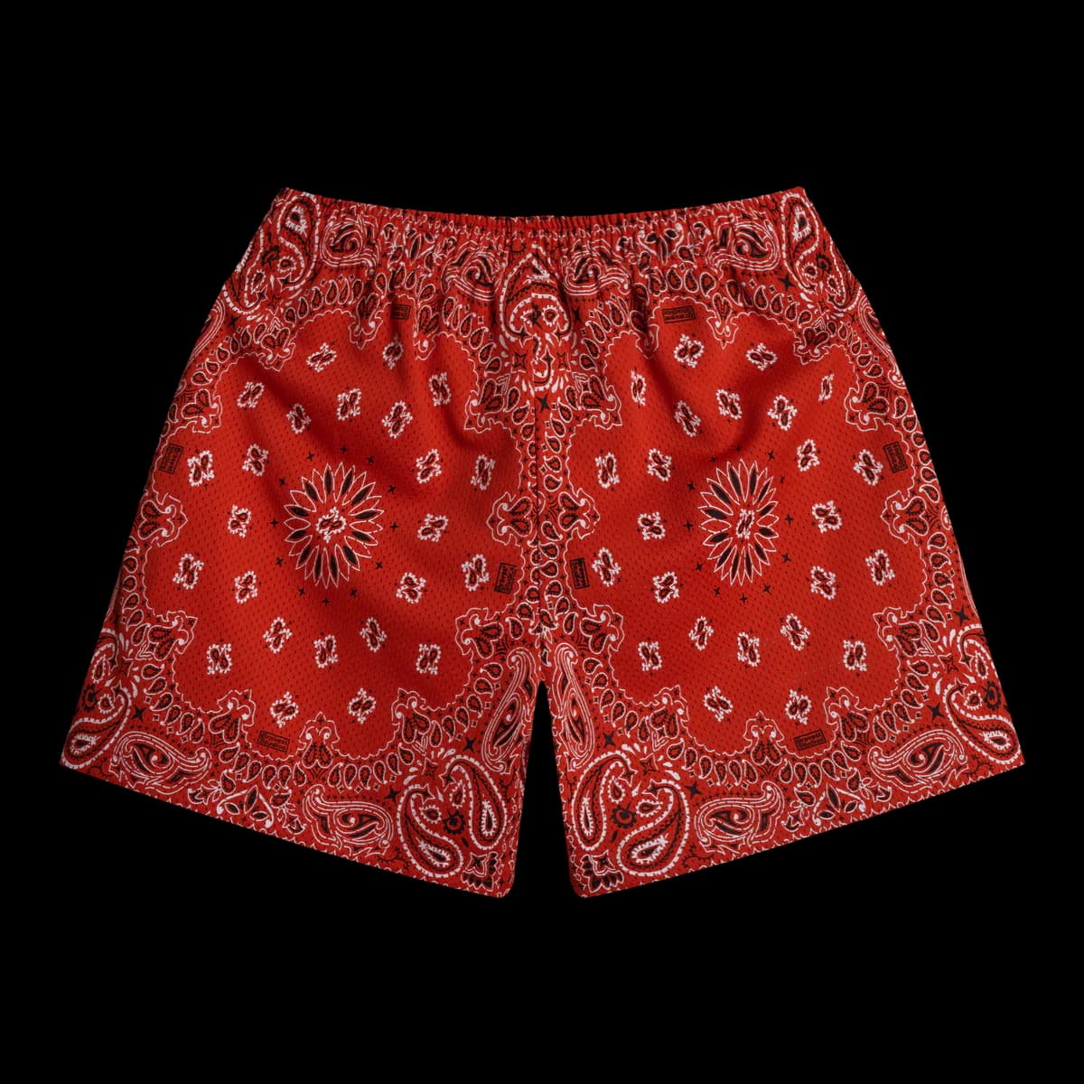 SCREENPRINTED PAISLEY TWO TONE SHORTS