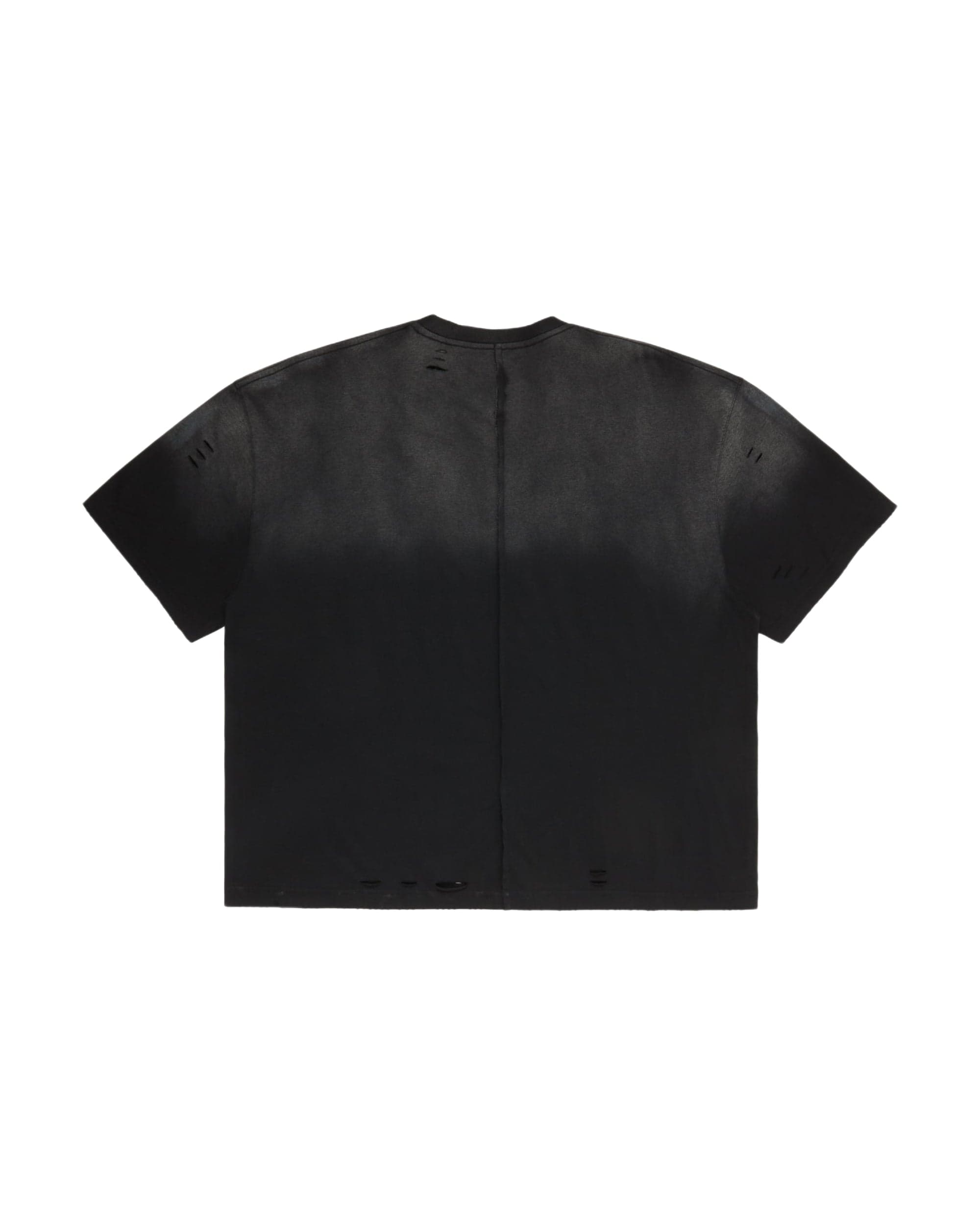 STOLLEN ARTS CROWN OF ASHES T-SHIRT